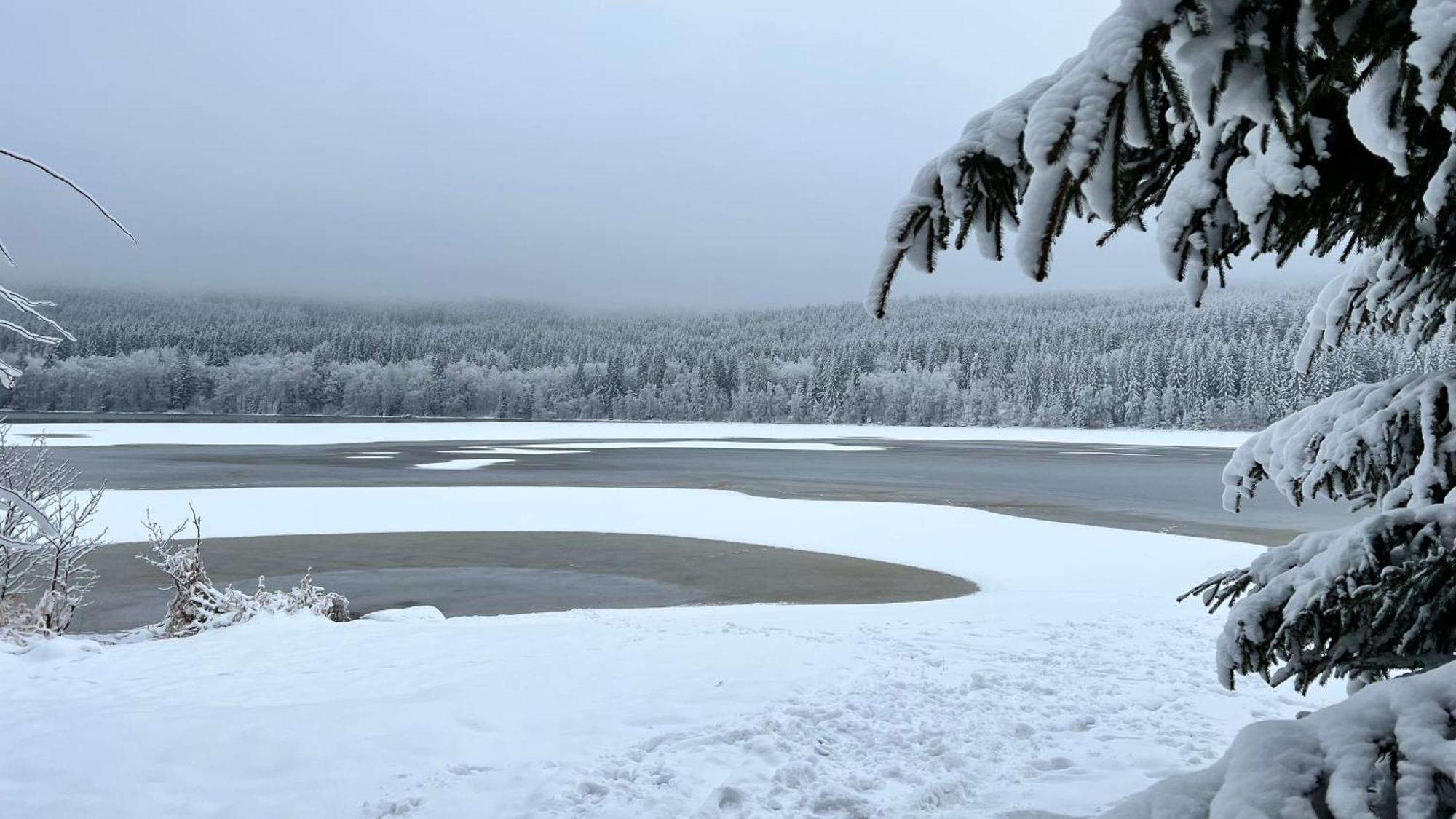Hauslipno Bungalov Na Lipne Lipno nad Vltavou Exterior foto